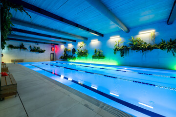 Modern Indoor Swimming Pool With Lush Decorative Plants and Ambient Lighting