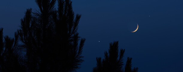 Fototapeta premium Crescent young Moon with stars, planets and rural countryside tree silhouettes.