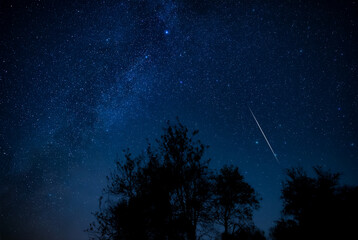 Milky Way stars with meteor shower trails and countryside tree silhouettes.
