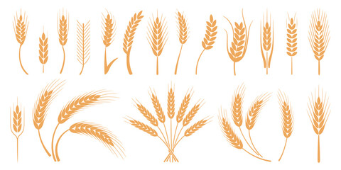 Wheat and rye ears, barley rice grains, beer logo elements, organic agriculture food, golden heraldic shapes, vector illustration isolated, natural farming symbols © Alamin vai vision 3