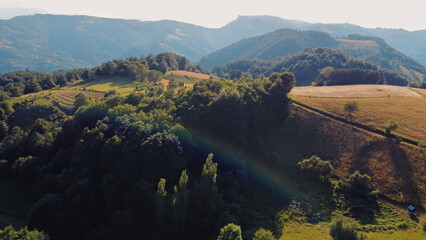 Obraz premium Tranquil sunny summer landscape with green fields and hills.