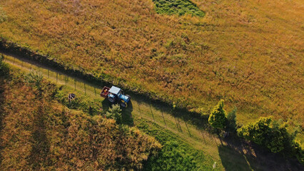 Obraz premium Tranquil sunny summer landscape with green fields and hills.