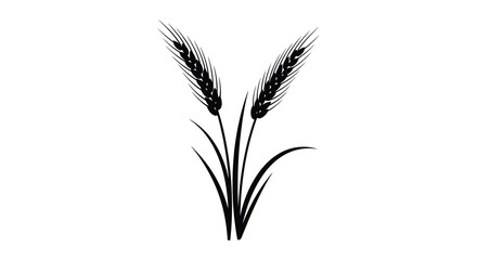 Obraz premium Two stalks of wheat with detailed grain heads and curving leaves are presented in a stark black silhouette high quality