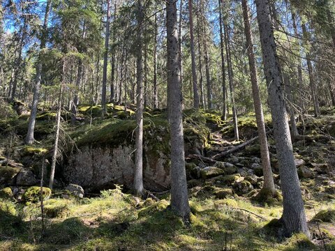Nuuksio National Park, Espoo, Finland