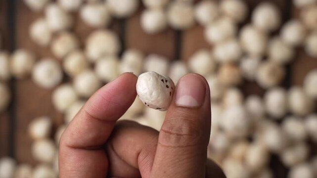Showing a Makhana with fingers.