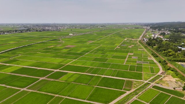 Drone footage of rice paddies and countryside in Niigata, Japan
