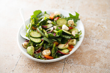 Healthy green salad with mozzarella cheese