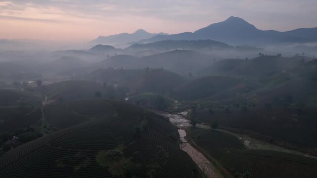 Aerial drone view of a foggy valley with tea fields, water patches and forested hills at sunrise in Tan Son District, Phu Tho, Vietnam.
