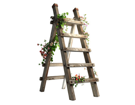 Rustic wooden ladder adorned with vibrant climbing flowers and lush greenery
