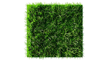 A square of lush, vibrant green grass isolated on a solid black background