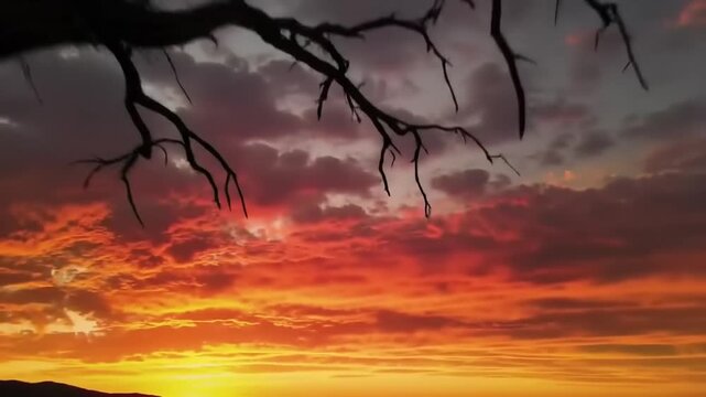 Dramatic sunset sky over silhouetted trees and horizon landscape
