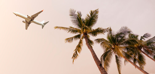 The Airplane over coconut trees, travel to summer vacation destination to relax on a beautiful...