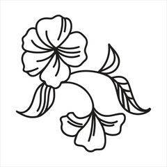 Elegant botanical line art floral design Vector