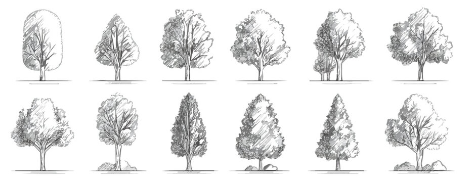 Cole&ccedil;&atilde;o de &aacute;rvores desenhadas &agrave; m&atilde;o em estilo de esbo&ccedil;o, isoladas em fundo transparente, ideais para projetos de design e arquitetura paisag&iacute;stica.