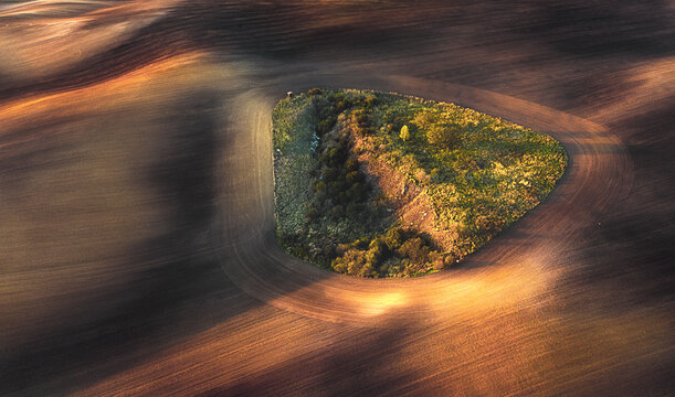 Aerial view of a verdant, triangular patch of vibrant green growth amidst the undulating brown fields, Svatoborice, Jihomoravsky kraj, Czechia.