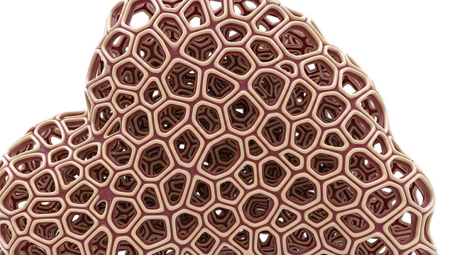 Abstract Cellular Structure