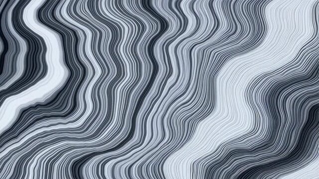 Abstract flowing lines in shades of grey and white. Represents modern design, creativity, and artistic expression in digital media