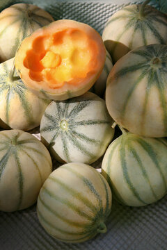 Charentais-Melonen