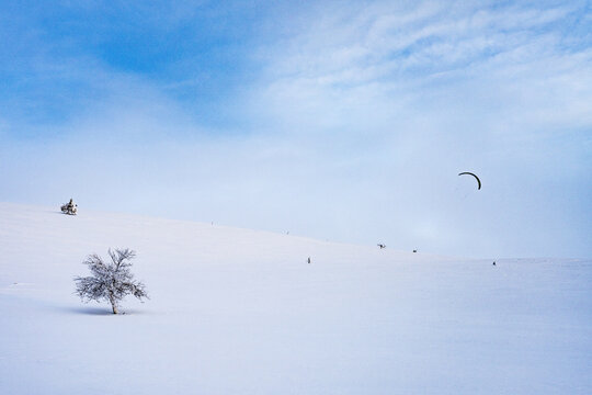 View of a snow-covered landscape with a lone tree and a kite soaring under a bright blue sky, Levi, Lapland, Finland.