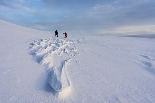 View of two figures silhouetted against the vast, snow-covered landscape under a pastel sky, a journey through the arctic wilderness, Levi, Lapland, Finland.