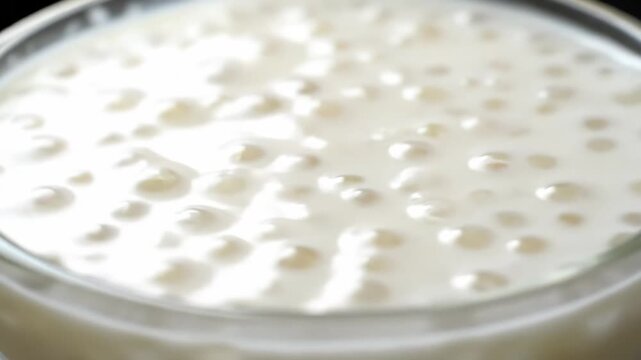 Close-up Macro Shot of Creamy White Tapioca Pearl Pudding, a Delicious Sweet Asian Dessert Served in a Glass Bowl.
