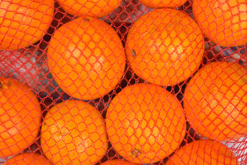 A close-up view of bright, vibrant oranges tightly packed within a red mesh bag.