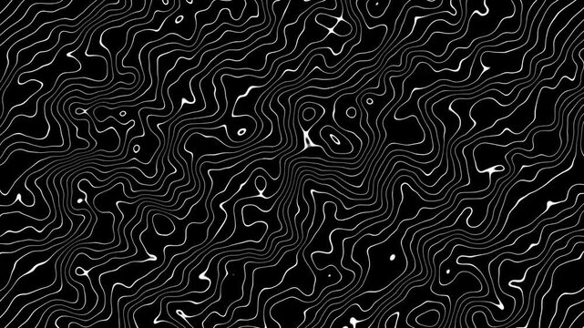 White abstract wavy and curvy lines pattern seamless loop on black background