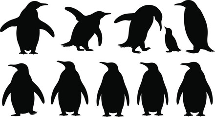 Penguin silhouette icon set featuring adult and baby penguins in standing and walking poses, black Antarctic wildlife shapes isolated on white background for nature design use © Biplob Creatives