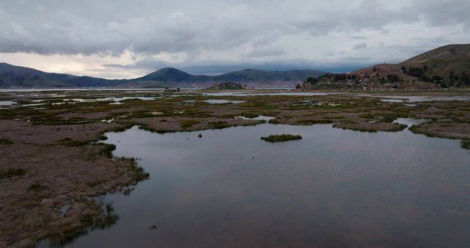 Low aerial over totora reeds and aquatic vegetation of Lake Titicaca, Peru
