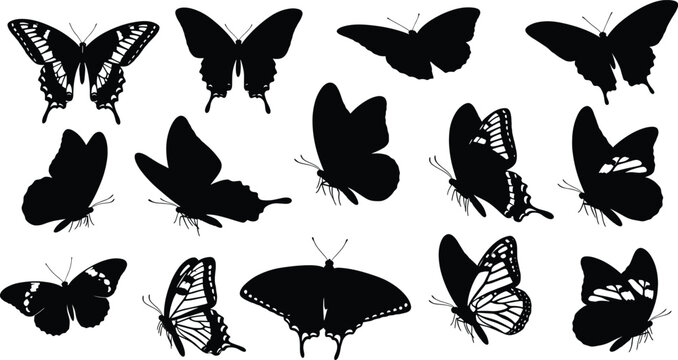 Black butterflies on white background silhouettes insects butterflies, black, silhouettes, white background, insects, wings, antennae, nature, wildlife, animals, black and white, white, background, co
