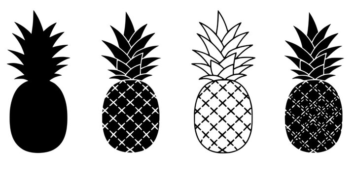 Simplified pineapple icon. Symbol of tropical fruit: black silhouette, outline lines, and dashed line. Five style variations.