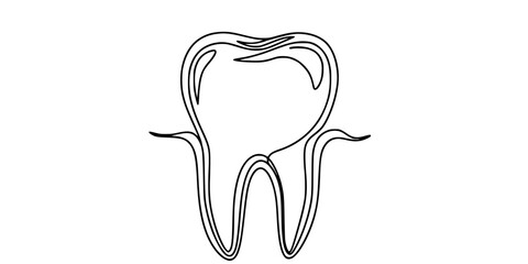 Human tooth. Drawing in one line art style with editable black stroke on a white background
