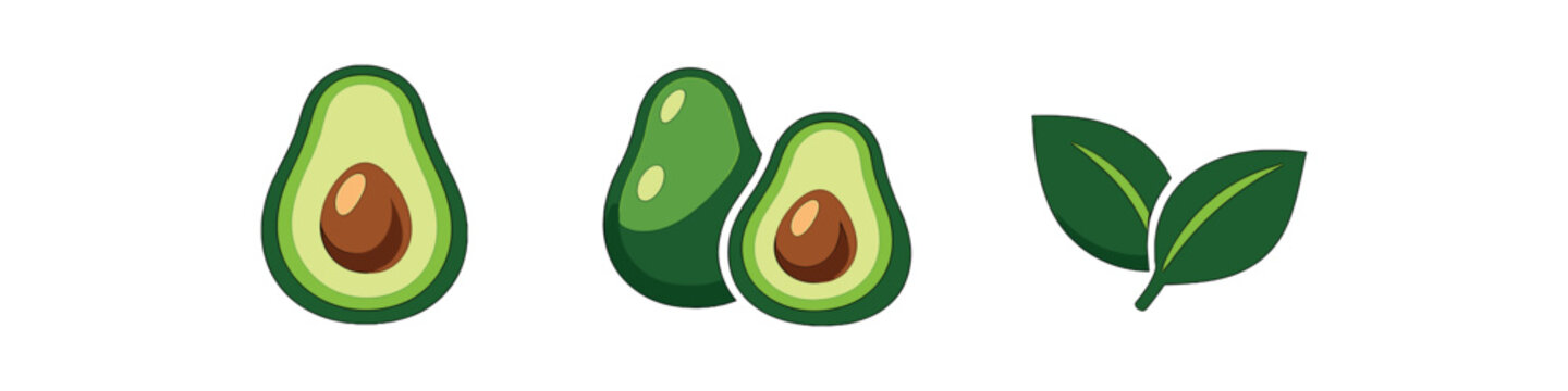 full color flat avocado green seed brown leaf dark green