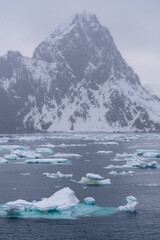 Sea drift ice and the coast © Staffan Widstrand