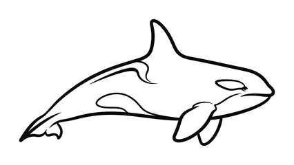 Obraz premium Ocean Majesty: A captivating illustration of a majestic Orca, rendered in clean, minimalist linework, embodies the strength and beauty of the sea.