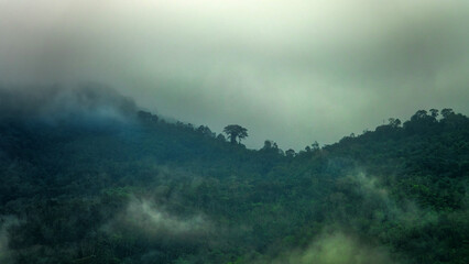 Gloomy sky, brown study. This is what tropical downpours period look like during the monsoon season...