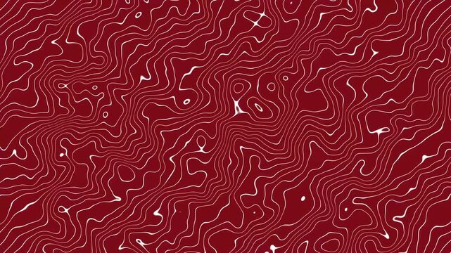 White abstract wavy and curvy lines pattern seamless loop on red background