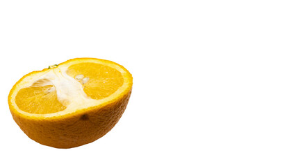 甘夏の断面マクロ 背景透過  柑橘フルーツ素材