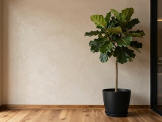 Fototapeta premium Indoor Plant in Modern Interior. A stylish indoor plant in a minimalist room with wooden flooring and a light-colored wall.