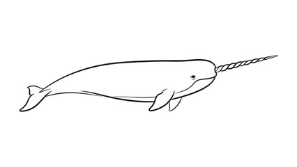 Mystical Narwhal: A sleek narwhal glides effortlessly through the ocean's depths, its magnificent tusk pointing gracefully forward. This image captures the essence of this elusive sea creature. © Murshida