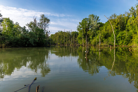 Landschaft im Naturrschutzgebiet Petite Camargue, Frankreich