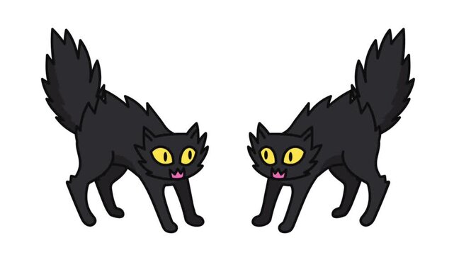 Two cute black cats with fluffy tails and yellow eyes standing side by side