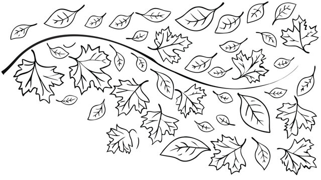 Falling leaves arranged in a gentle curved path autumn season graphic illustration