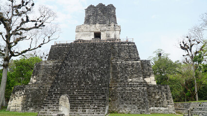 Fototapeta premium Tikal Maya Ruins. Ancient Mayan Temple, Peten, Guatemala.
