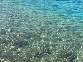 Obraz premium coral reef in the sea