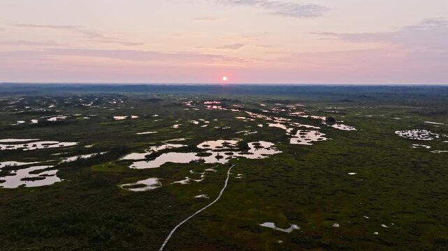 Morning Estonian Bog Sunrise