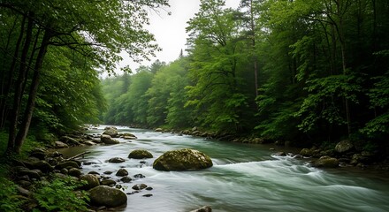 Obraz premium Serene river flowing gently through dense forest surrounded by lush green trees and boulders creating a peaceful natural atmosphere perfect for relaxation and tranquility.