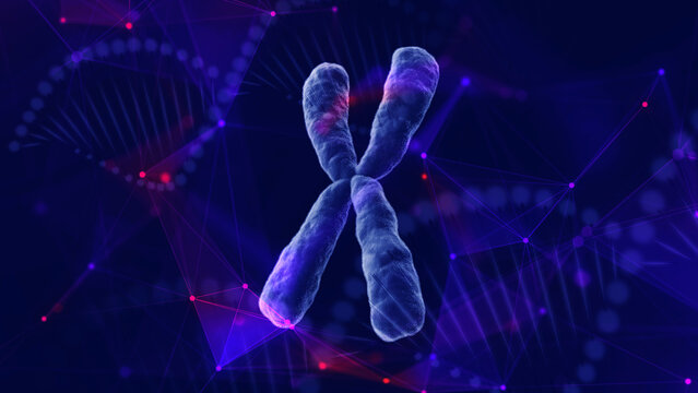 Digital DNA background of plexus lines environment and chromosome X