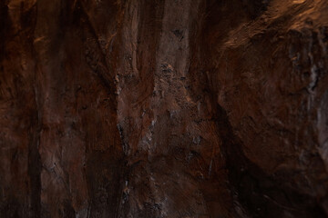 Textured brown rock wall surface with natural patterns and shadows