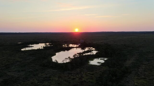 Aerial bog view in the summer evening